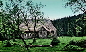 Po roce 1945 zůstal Hojerův dům opuštěný a od té doby chátral. Foto Miloslav Nevrlý, 1961